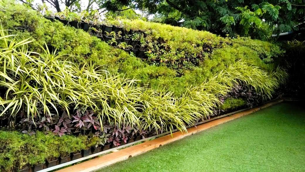 Balcony vertical garden with multiple pots